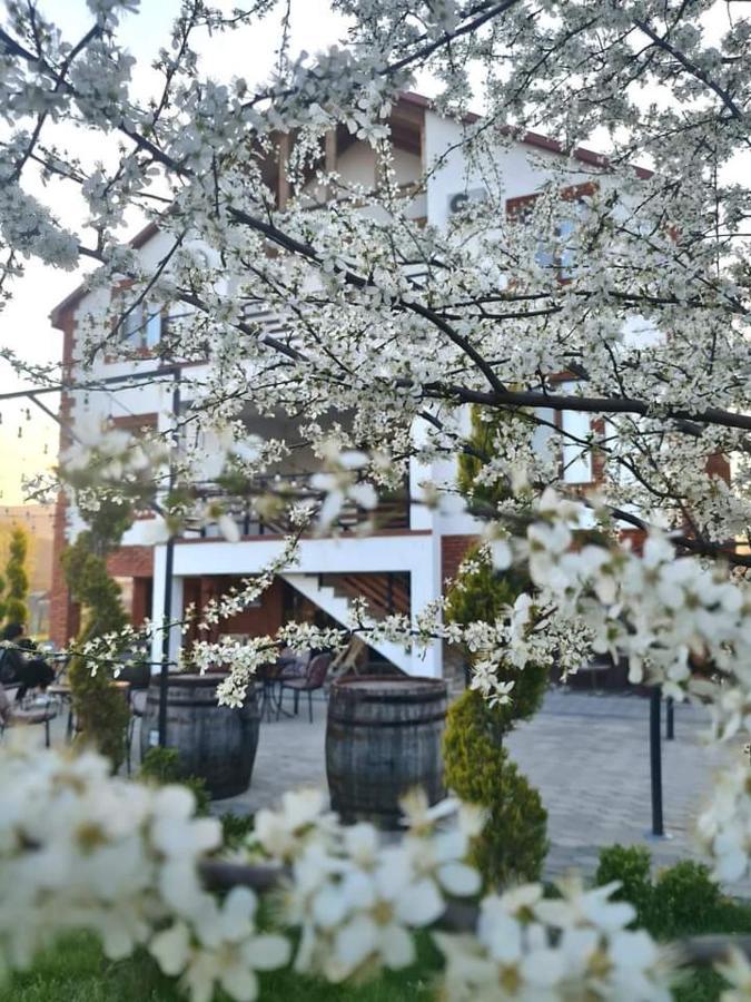 Karse Hotel Ambrolauri Exterior photo